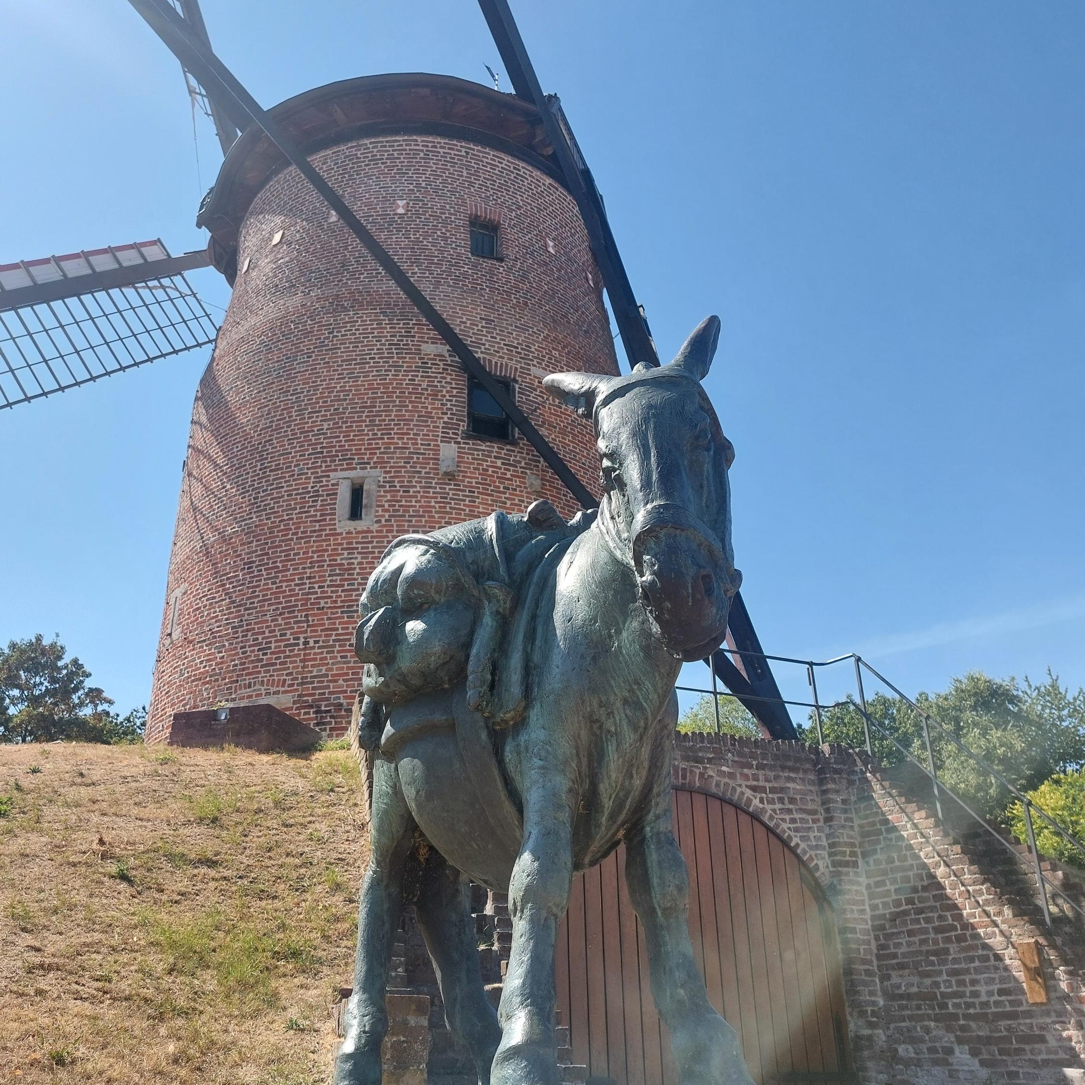 Bronzestatue eines beladenen Esels vor einer historischen Backsteinwindmühle mit Flügeln und Treppe.